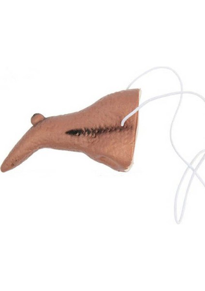 Halloween Takma Cadı Burnu