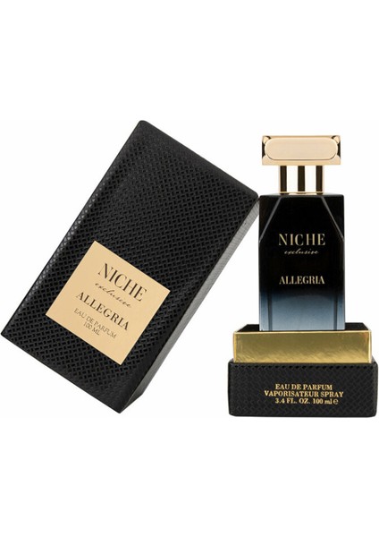 Exclusive Allegria Edp 100 ml Erkek Parfüm