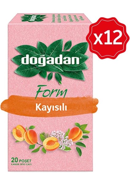 Form Çay Kayısılı 20'li x 12 Adet