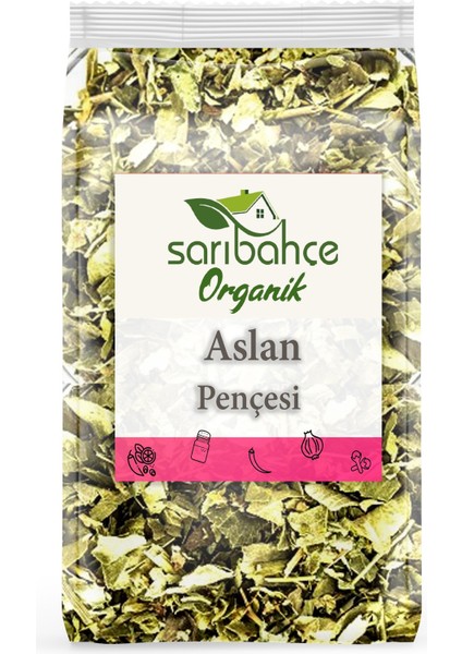 Aslan Pençesi (Testere Dişli) 50 gr