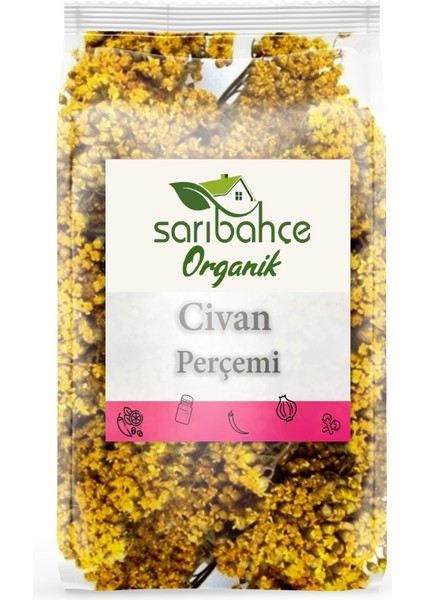 Civan Perçemi 100 gr