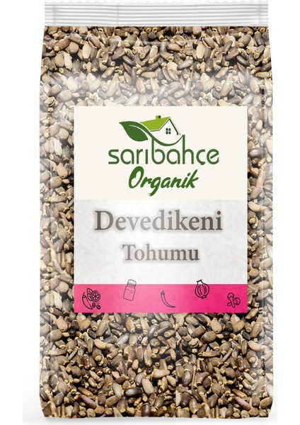 Deve Dikeni Tohumu 250 gr