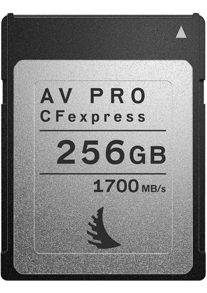 256GB Av Pro Cfexpress 2.0 Type B Hafıza Kartı
