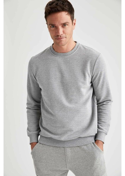 Erkek Gri Bisiklet Yaka Regular Fit Sweatshirt