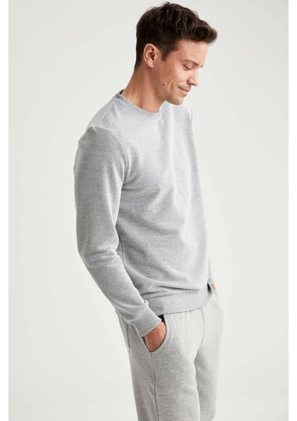 Erkek Gri Bisiklet Yaka Regular Fit Sweatshirt