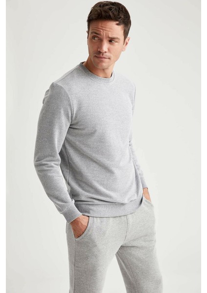 Erkek Gri Bisiklet Yaka Regular Fit Sweatshirt