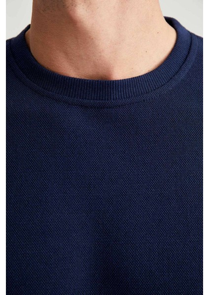 Erkek Lacivert Bisiklet Yaka Regular Fit Sweatshirt