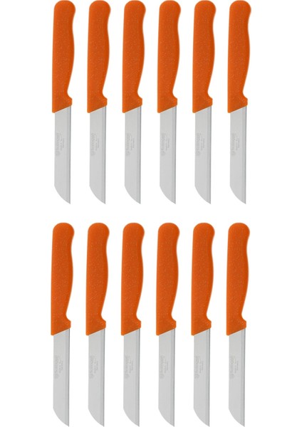 Sas Hausgerate Meyve Sebze Bıçak Seti 12'li Simli Turuncu