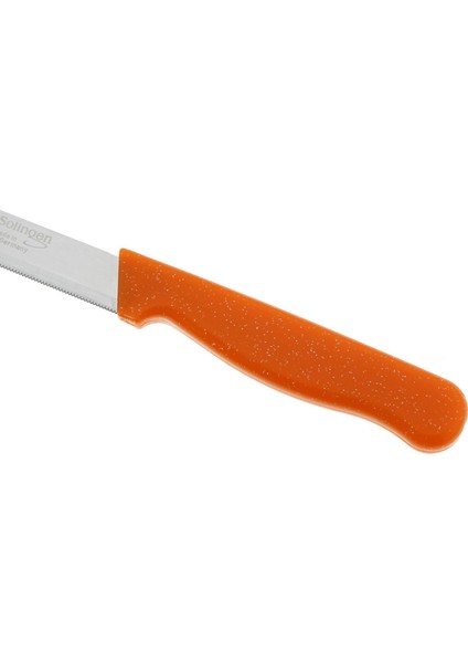 Sas Hausgerate Meyve Sebze Bıçak Seti 12'li Simli Turuncu fırsatları