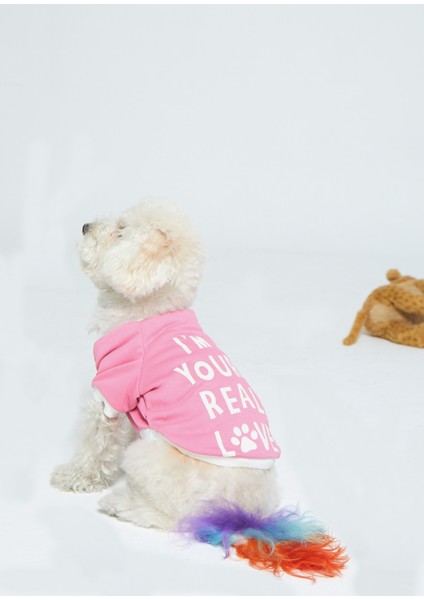 Baskılı Köpek Kedi Sweatshirt Pembe L