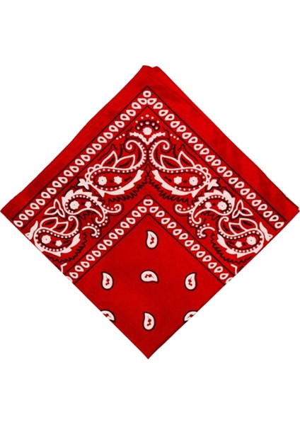 F Fityle Pamuk Paisley Kovboy Bandana Eşarp Kafa Wrap Saç Bandı Mendil Kırmızı (Yurt Dışından)