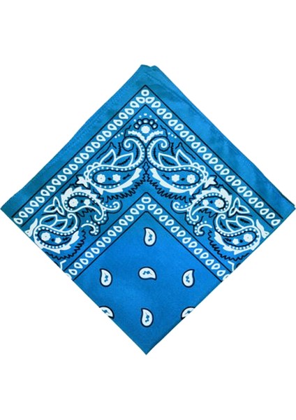 F Fityle Unisex Pamuk Paisley Bandana Eşarp Başkanı Wrap Kafa Mendil Mavi (Yurt Dışından)