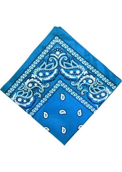 F Fityle Unisex Pamuk Paisley Bandana Eşarp Başkanı Wrap Kafa Mendil Mavi (Yurt Dışından) fiyatları