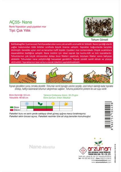 Nane (Mentha) Çiçek Tohumu 100 Adet fiyatları