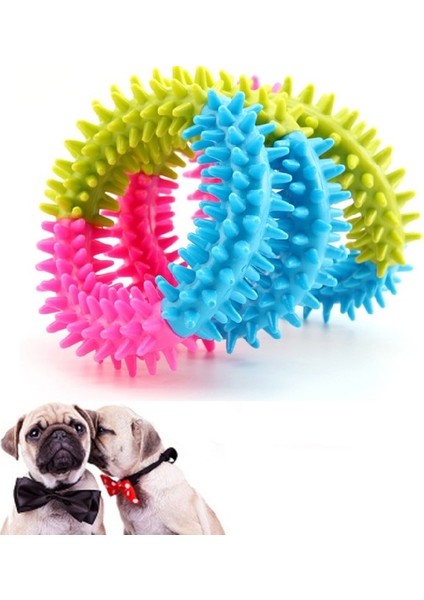 Köpek Isırma Çemberi (9,5)