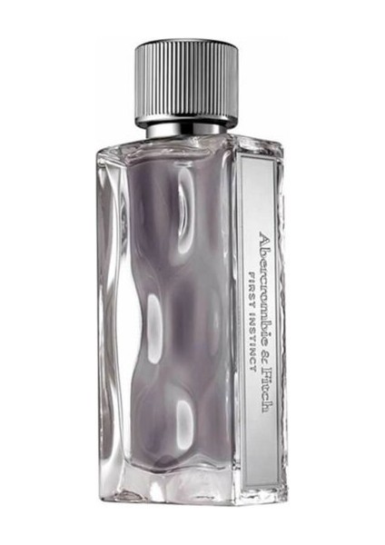 First Instinct Edt 100ML Erkek Parfüm