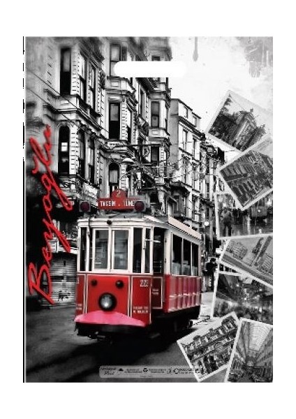 Takviyeli Poşet Beyoğlu 50'li No:2 (26X38 Cm)