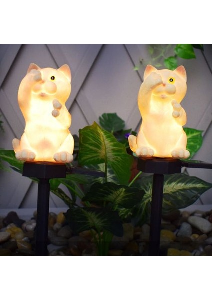 Güneş Paneli Kahverengi (Yurt Dışından) indirimleri