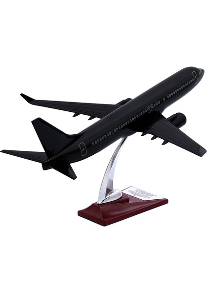 Boeing 737-800 Model Uçak, Siyah Renkli Uçak Maketi