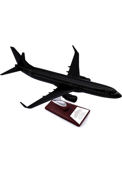 Boeing 737-800 Model Uçak, Siyah Renkli Uçak Maketi