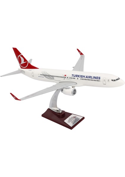 Boeing 737 - 800 Thy Lisanslı Model Uçak