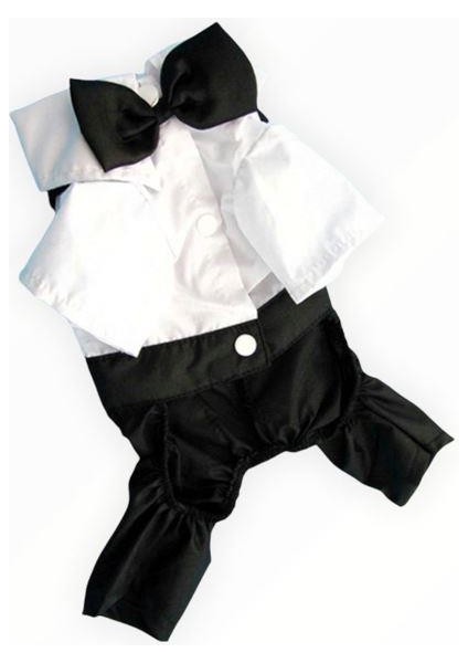 Tuxedo Smokin Köpek Kıyafeti Damatlık Siyah - Beyaz M