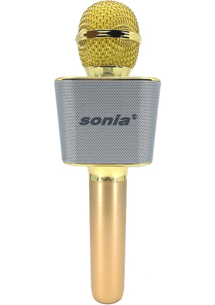 SN-X666 Microphone Kablosuz Hoparlör - Speaker