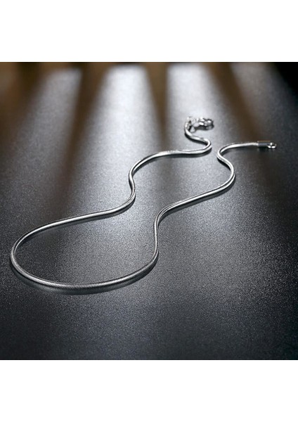 2mm Yamaç Zinciri Erkek Çelik Kolye Zincir fiyatları