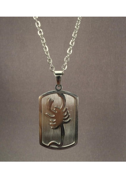 Akrep Burcu Çelik Erkek Kolye Zincir