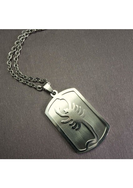 Akrep Burcu Çelik Erkek Kolye Zincir fiyatları