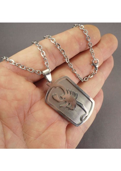 Akrep Burcu Çelik Erkek Kolye Zincir fırsatları