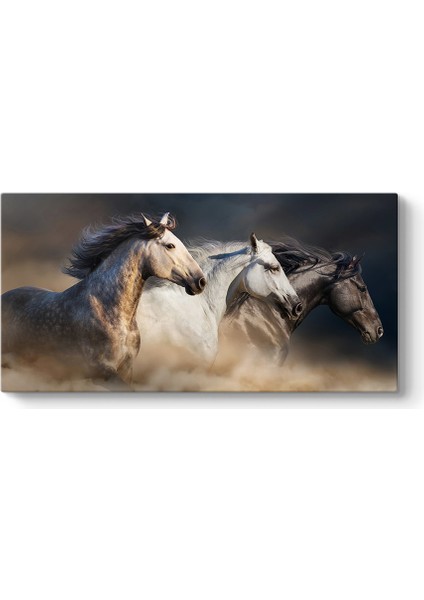 Koşan Arap Atları Tablosu