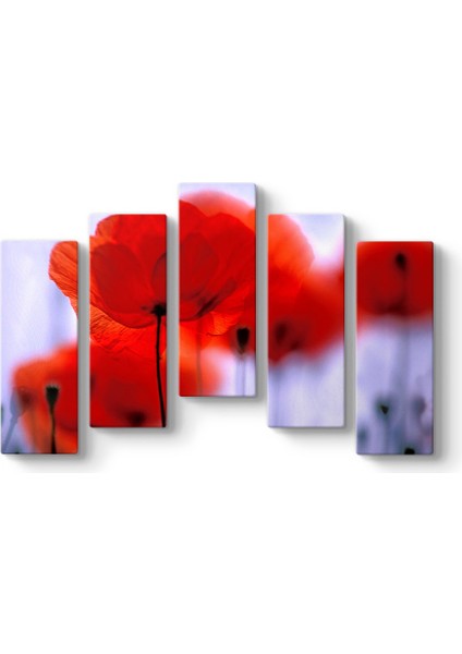 Kırmızı Gelincikler Tablosu