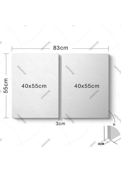Deniz Kızı Tablosu fiyatları