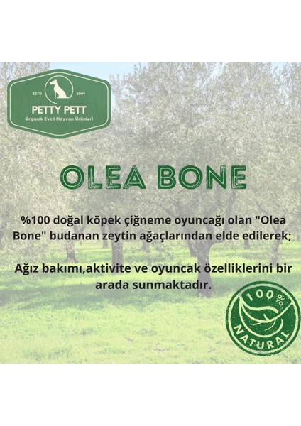 Olea Bone S - Köpekler için ağız bakımı ve oyuncak modelleri