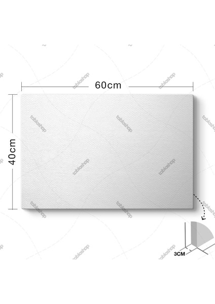 Şirin Hayvanlar Alemi Tablosu fiyatları