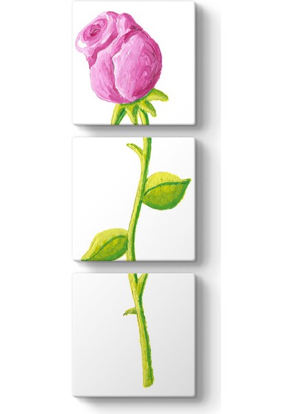 Pembe Gül Bebek Oda Tablosu