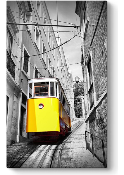 Sarı Tramvay Tablosu