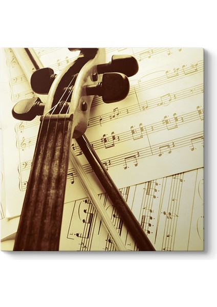 Keman ve Nota Tablosu