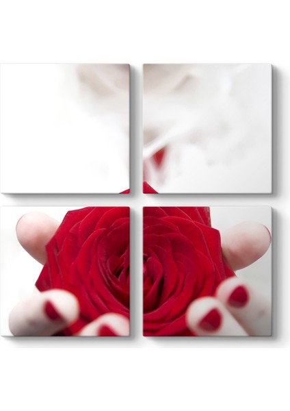 Lady Red Rose Tablosu