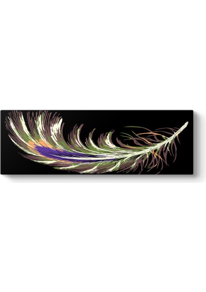 Kuş Tüyü Panorama Tablo