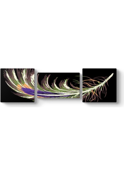 Kuş Tüyü Panorama Tablo