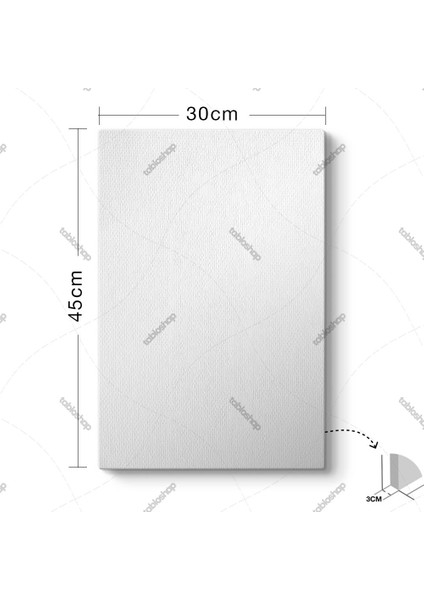 Balerin Canvas Tablo