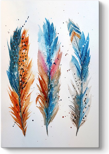 Renkli Kuş Tüyleri Tablosu