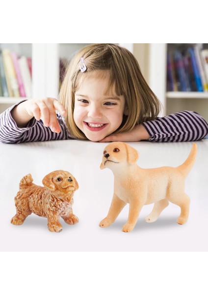 Nefis Hayvanlar Model Oyuncaklar Minyatür Sahneleri Dekor Malzemeleri Playset Köpek (Yurt Dışından)