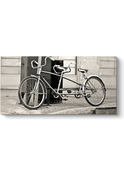 Tandem Bisiklet Tablosu