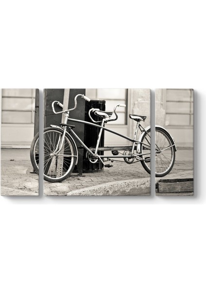 Tandem Bisiklet Tablosu