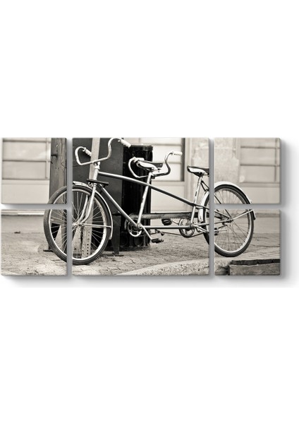 Tandem Bisiklet Tablosu