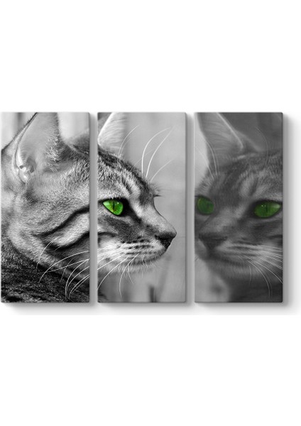 Yeşil Gözlü Kedi Tablosu