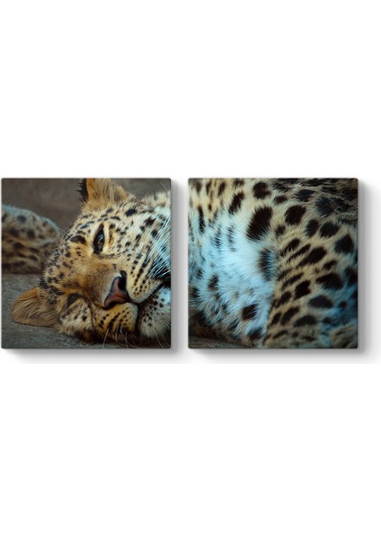 Leopar Tablosu